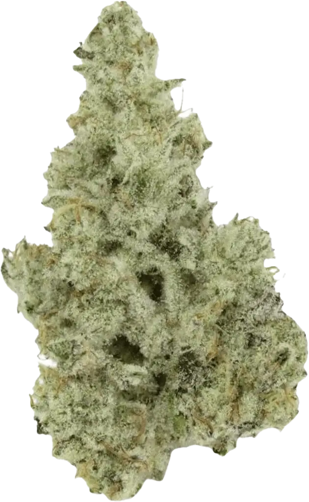  420 Evolution 30/1 CA MMI Miracle Mint