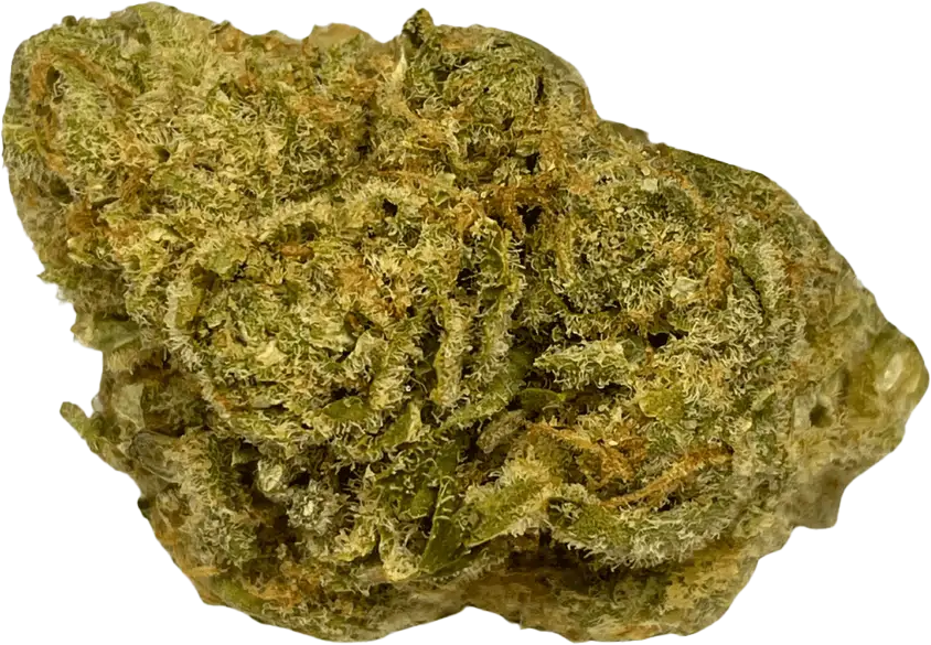 All Nations LT PT Lemon Tartz