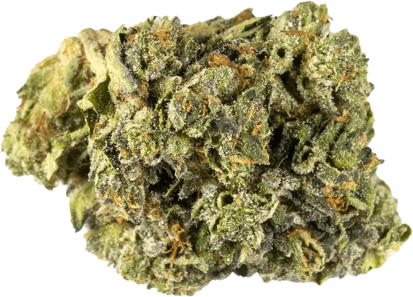 Aurora 24/1 PNK-CA Pink Kush