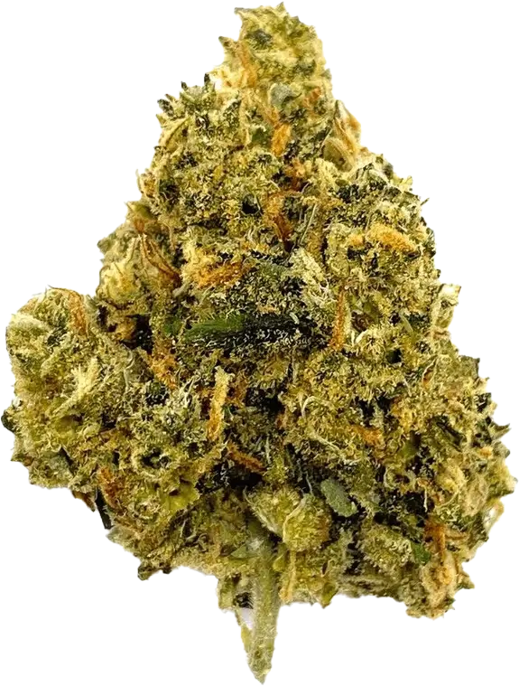 Bedrocan
