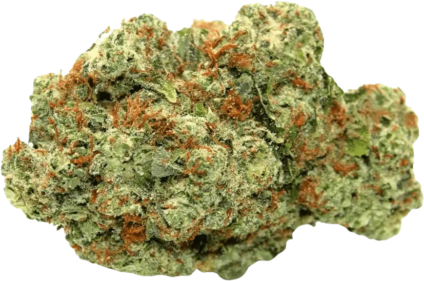 Canify Cannabis flos 23/1 PRT Ku. Black Cherry Pie 