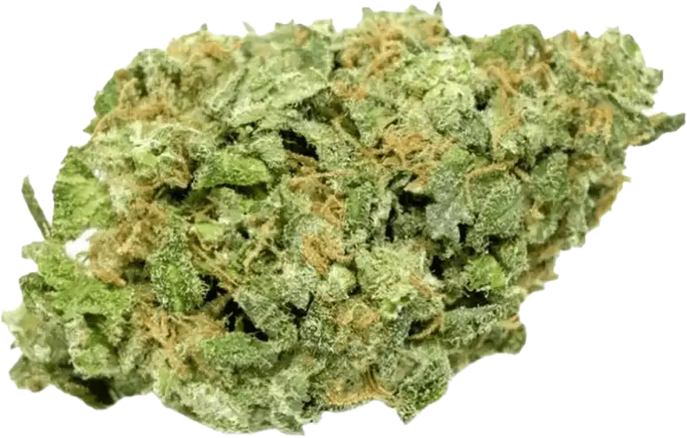 Cannabis 1A 16/1 White Widow