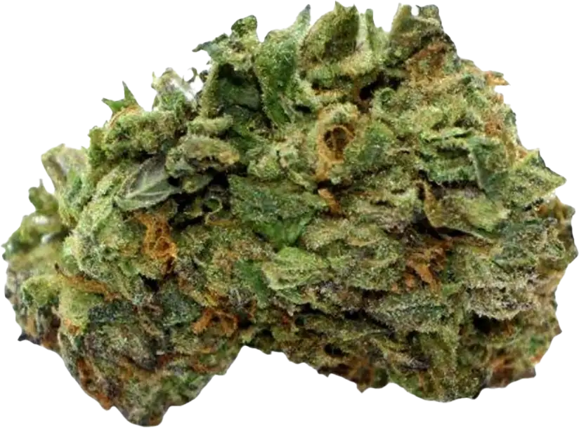 Cannamedical Indica forte MA Crazy Rntz
