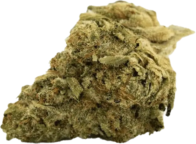 Cannamedical Sativa forte Duke