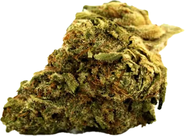 Cannamedical Sativa forte Tangie Chem
