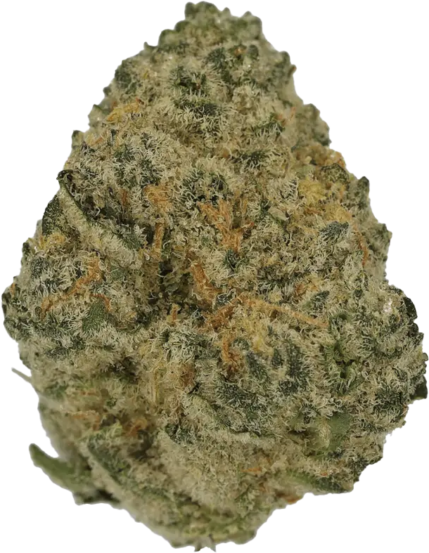 Cannamedical Sativa Ultra NM Polar Cookies