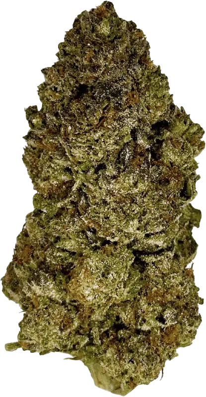Demecan MC Regular Drop 27/1 Glitter Pop Bomb