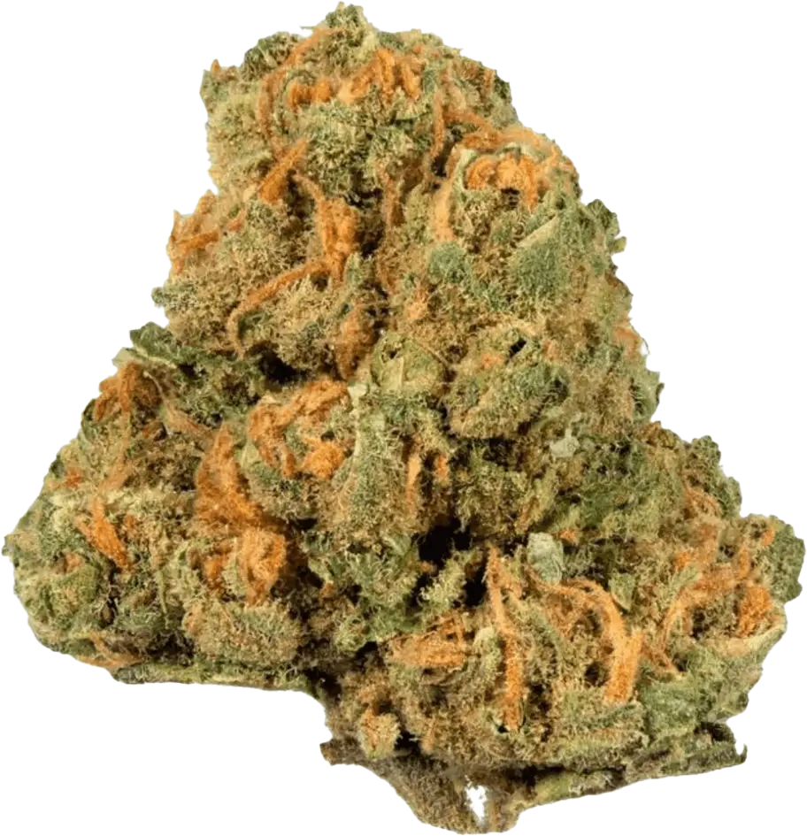 Drapalin 21/1 Jack Herer