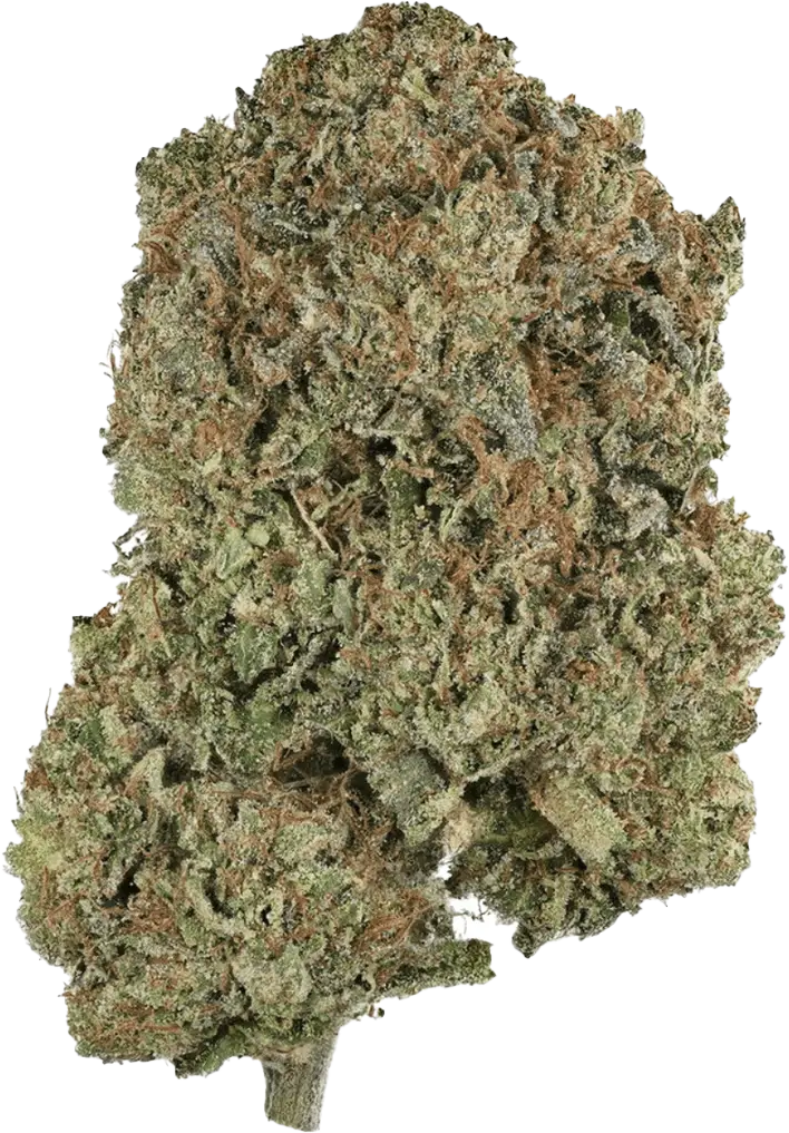 Drapalin 27/1 Pink Gas