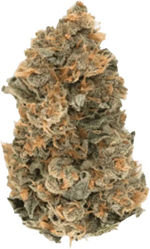 GROW 27 DC Dosi Cookies