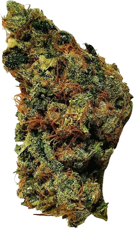 Grünhorn GG 22/1 Gorilla Glue