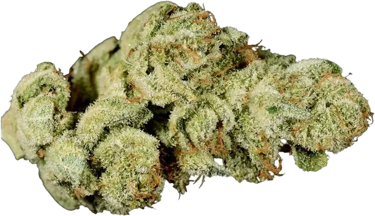 IMC THC25 T03 GG4 Gorilla Glue