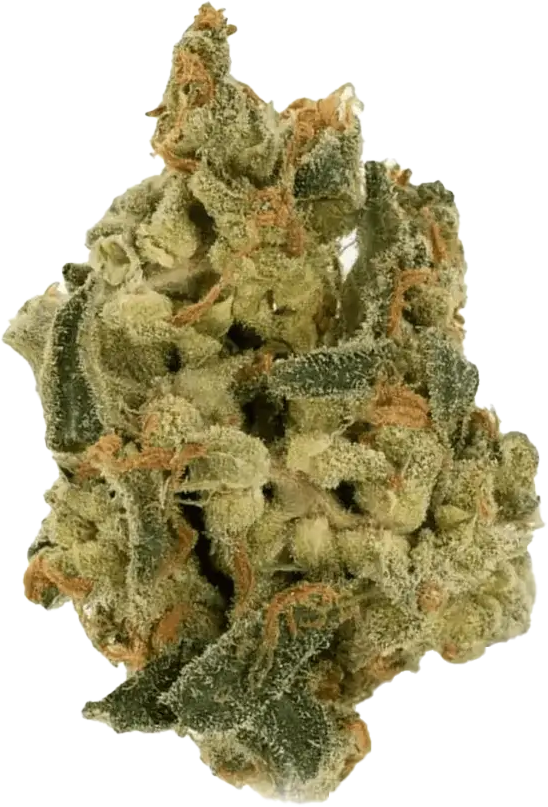 IMC THC22 T05 Somango Skunk