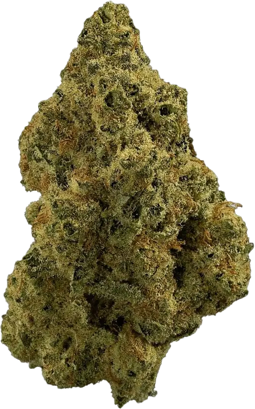 madrecan 18/1 Granddaddy OG