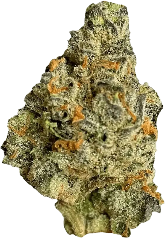 Nimbus easy 22/1 Strawberry Glue
