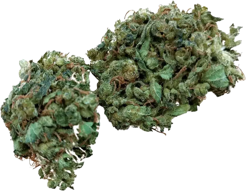 Pedanios 22/1 Ghost Train Haze