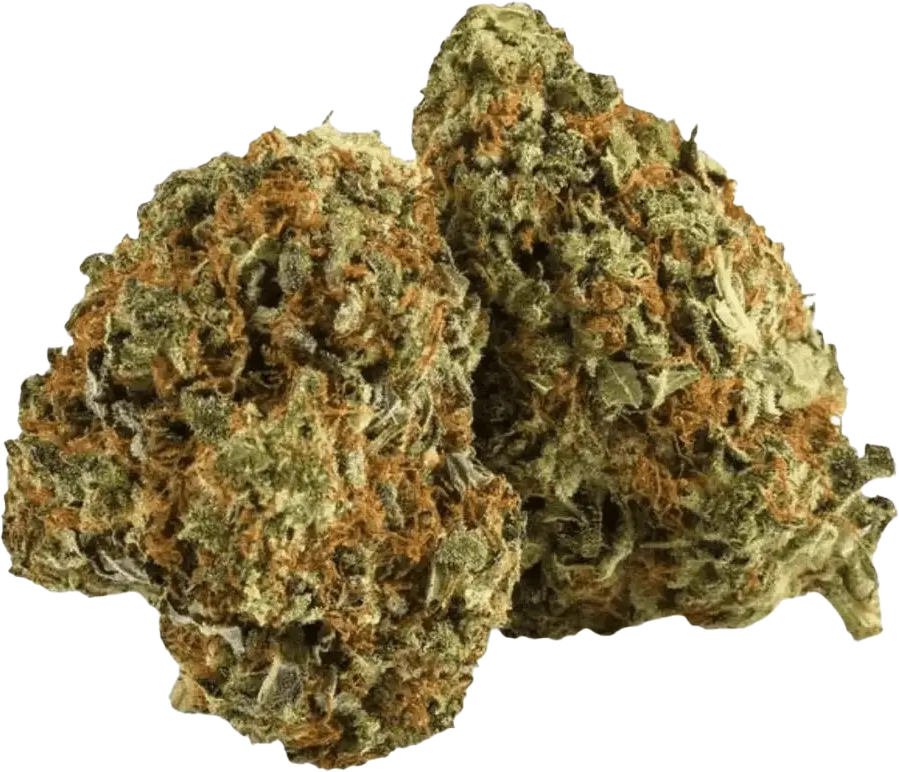 Pedanios 24/1 LAC CA LA Confidential