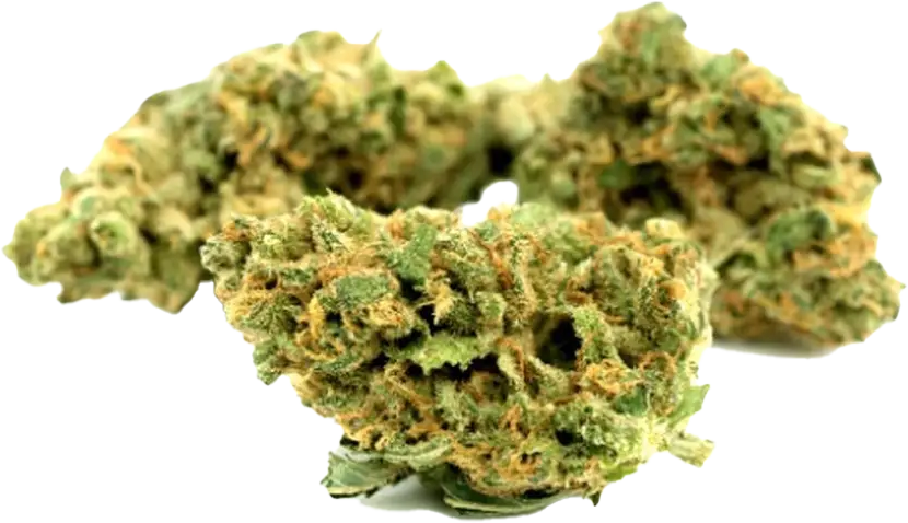 Remexian 20/1 White Widow