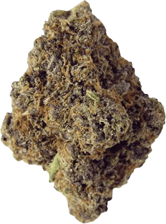 Rua Hihiko 27/1 Grape Haze